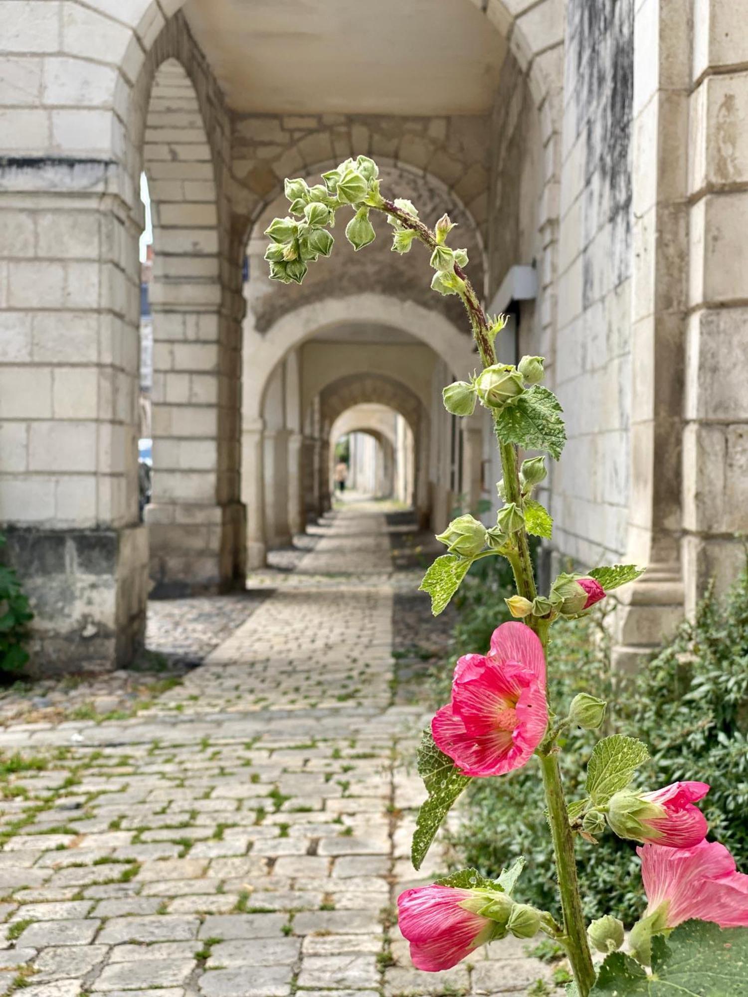 Les Pertuis Rochelais Bed & Breakfast Perigny  Luaran gambar